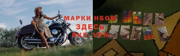 гашик Горняк