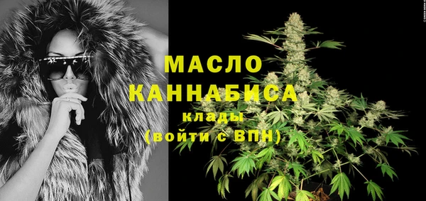 гидра Горно-Алтайск