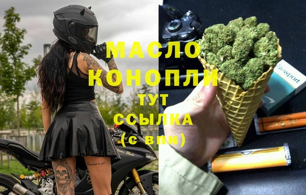 гашик Горняк